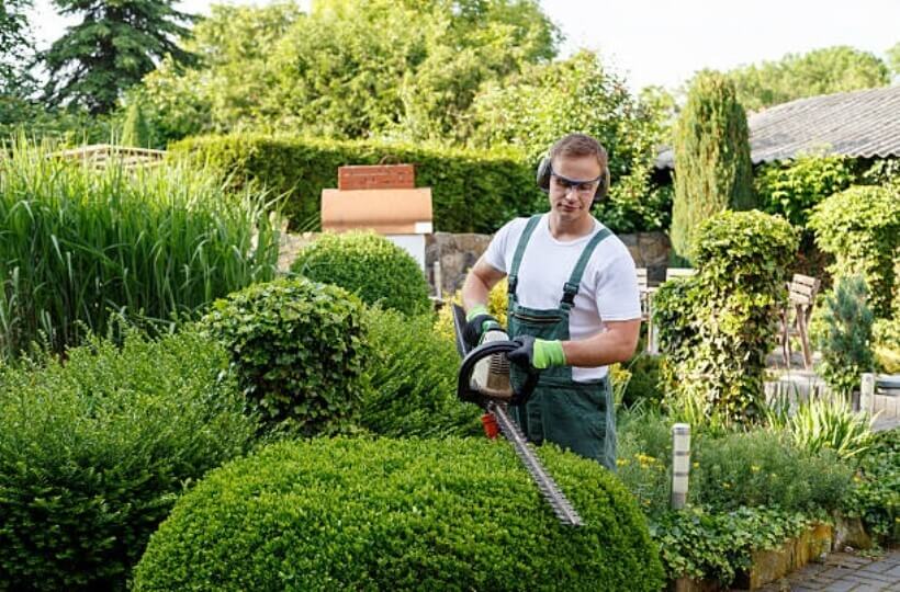 Gardening Business For Aussie, Gardening And Landscaping Business